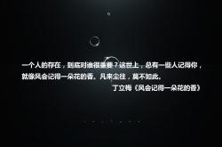 开云体育登录-里斯本之刃，当坎塞洛在2026世界杯D组撕开高原铁幕，葡萄牙用一场大胜宣告黄金一代的终极加冕