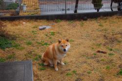 开云体育-收割时刻，巨星在常规赛与抢七的本质区别