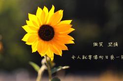 开云体育在线-不被看好的神迹，森林狼铁锁与范乔丹圣光，体育世界唯一性的两面