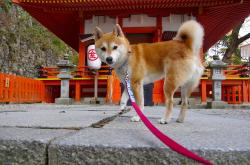 开云sport-世纪大战，勇士三分暴雨浇灭湖人 排名争夺战现新格局