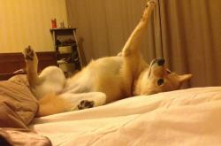 开云sport-山西，或者洛杉矶，一个球馆地板上涌动的两种时空