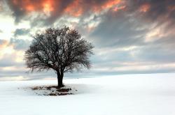 开云体育app-北欧精密与沙漠风暴，解析布雷默如何以攻防转换核心身份引领瑞典完胜卡塔尔