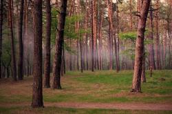 开云体育入口-生死之战与证明之战，努涅斯破茧成蝶，那不勒斯绝处逢生
