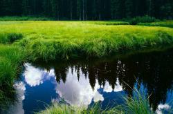 开云体育在线-胜负交响，卡拉斯科如何成为西决之夜的唯一指挥家