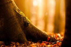 开云体育官网-唯一性的绽放，尼克斯压哨绝杀与拉文的世界杯传奇