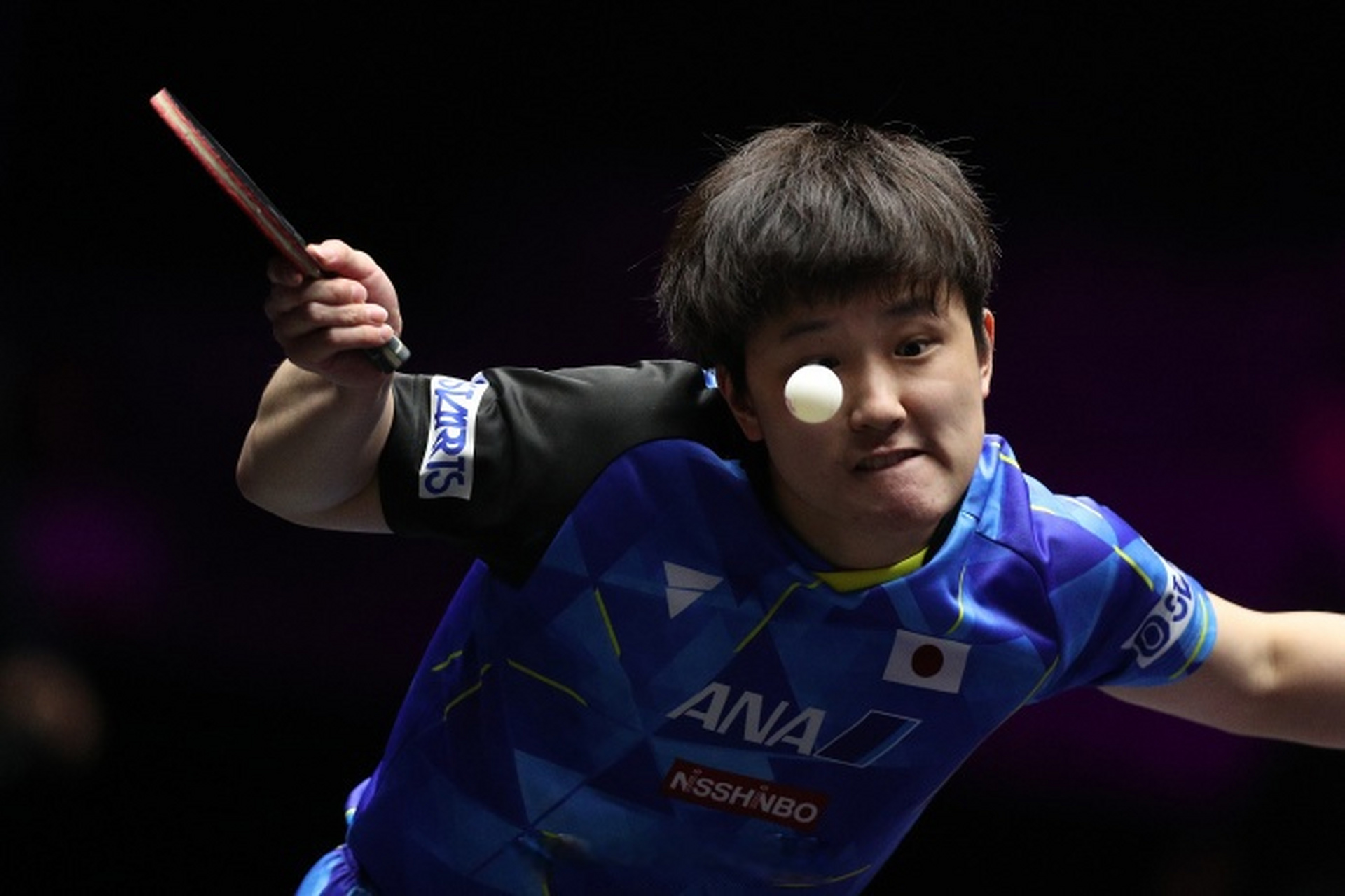 包含日本乒乓球队完胜法国乒乓球队,张本智和关键制胜的词条 包含日本乒乓球队完胜法国乒乓球队,张本智和关键制胜的词条