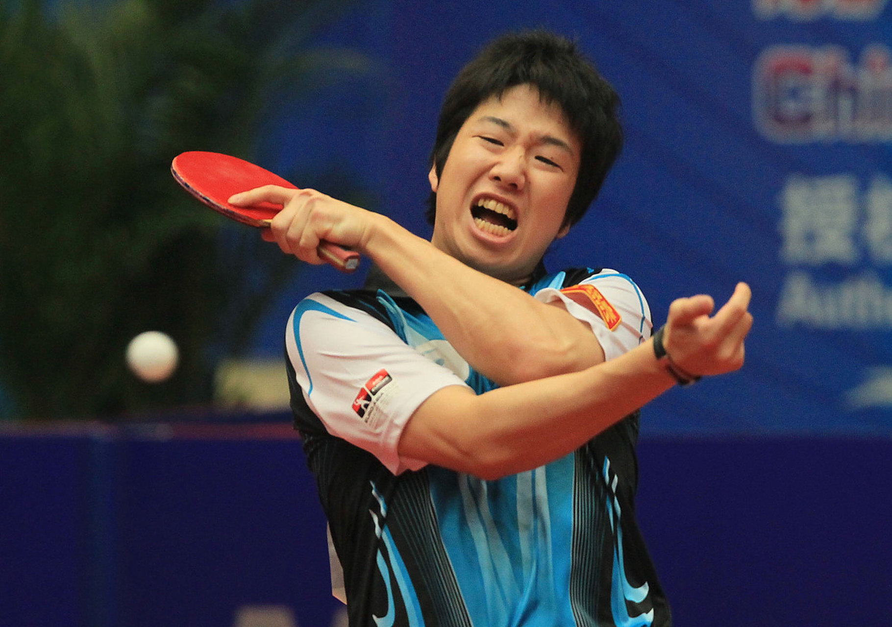 包含比利时乒乓球队绝杀韩国乒乓球队，水谷隼惊艳世界的词条