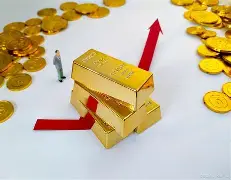 冰球引发投注狂潮，赔率走势成谜