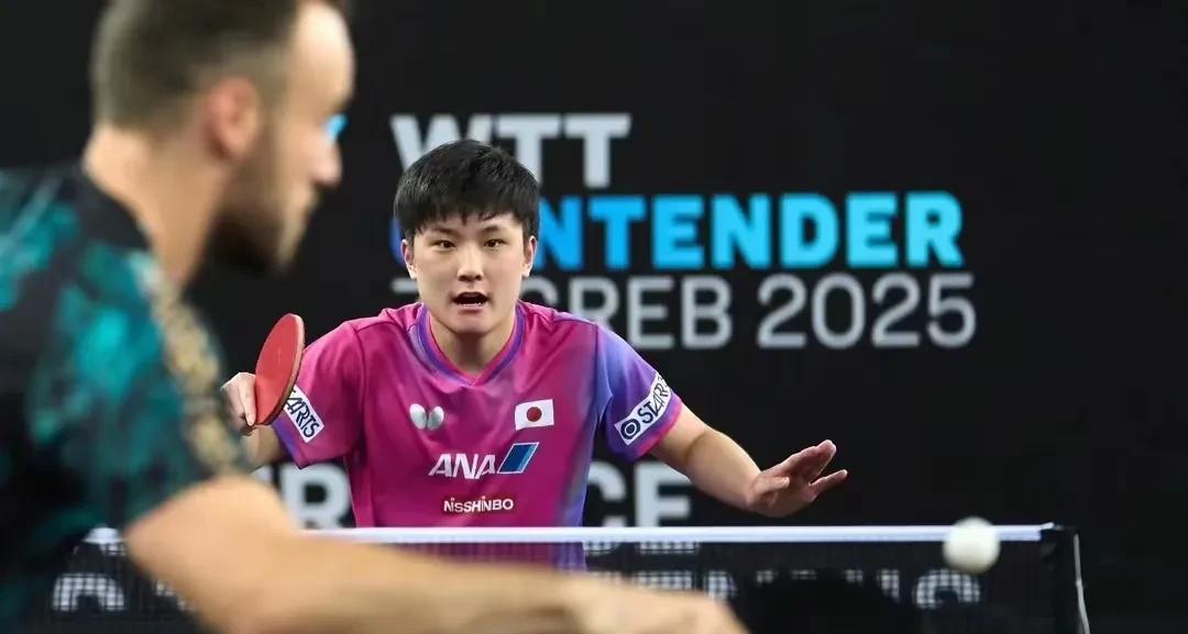 包含葡萄牙队碾压英格兰队,张本智和高光表现的词条 包含葡萄牙队碾压英格兰队,张本智和高光表现的词条