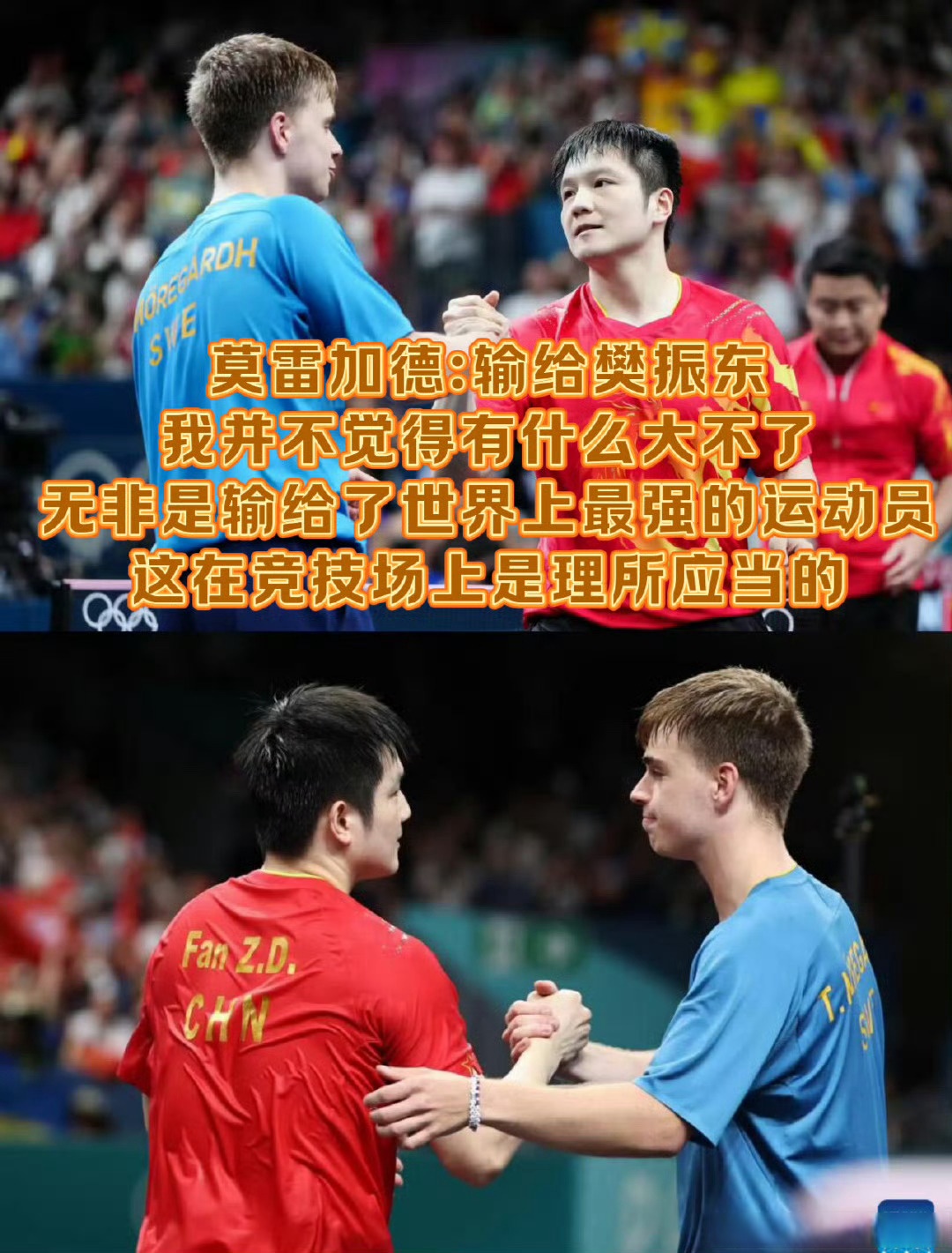 瑞典队力克韩国队,樊振东统治全场 瑞典队力克韩国队,樊振东统治全场