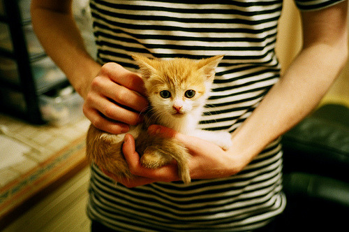 马克西化身华南虎之眼，广东队史诗级跨界战强势逆转凯尔特人