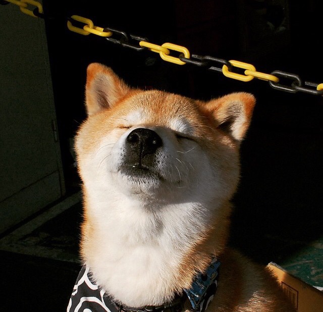 当东方闪电遭遇西部狂沙，马克西用节拍器魔法终结悬念