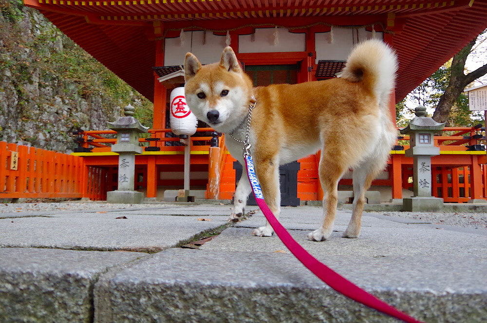 世纪大战,勇士三分暴雨浇灭湖人 排名争夺战现新格局