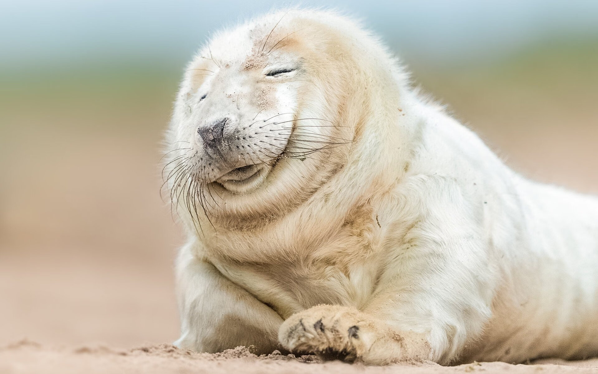 节奏大师奥利维耶导演突围战，莱比锡红牛击穿皇家社会铁壁