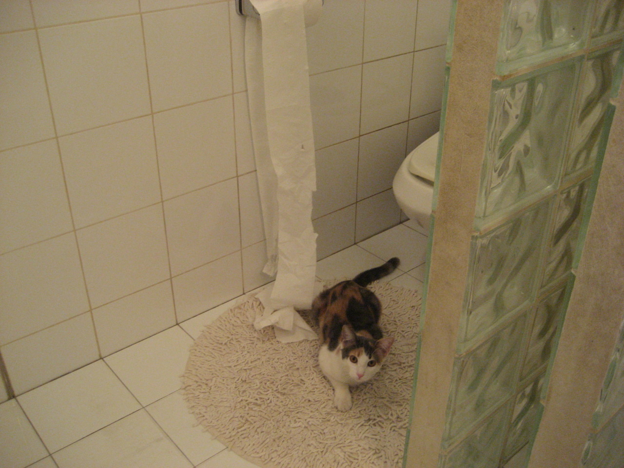 跨界传奇,弗拉霍维奇在NBA总决赛之夜的完美篮球首秀