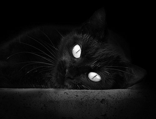 跨界绝平!皮克门神附体,希腊涉险淘汰中国队