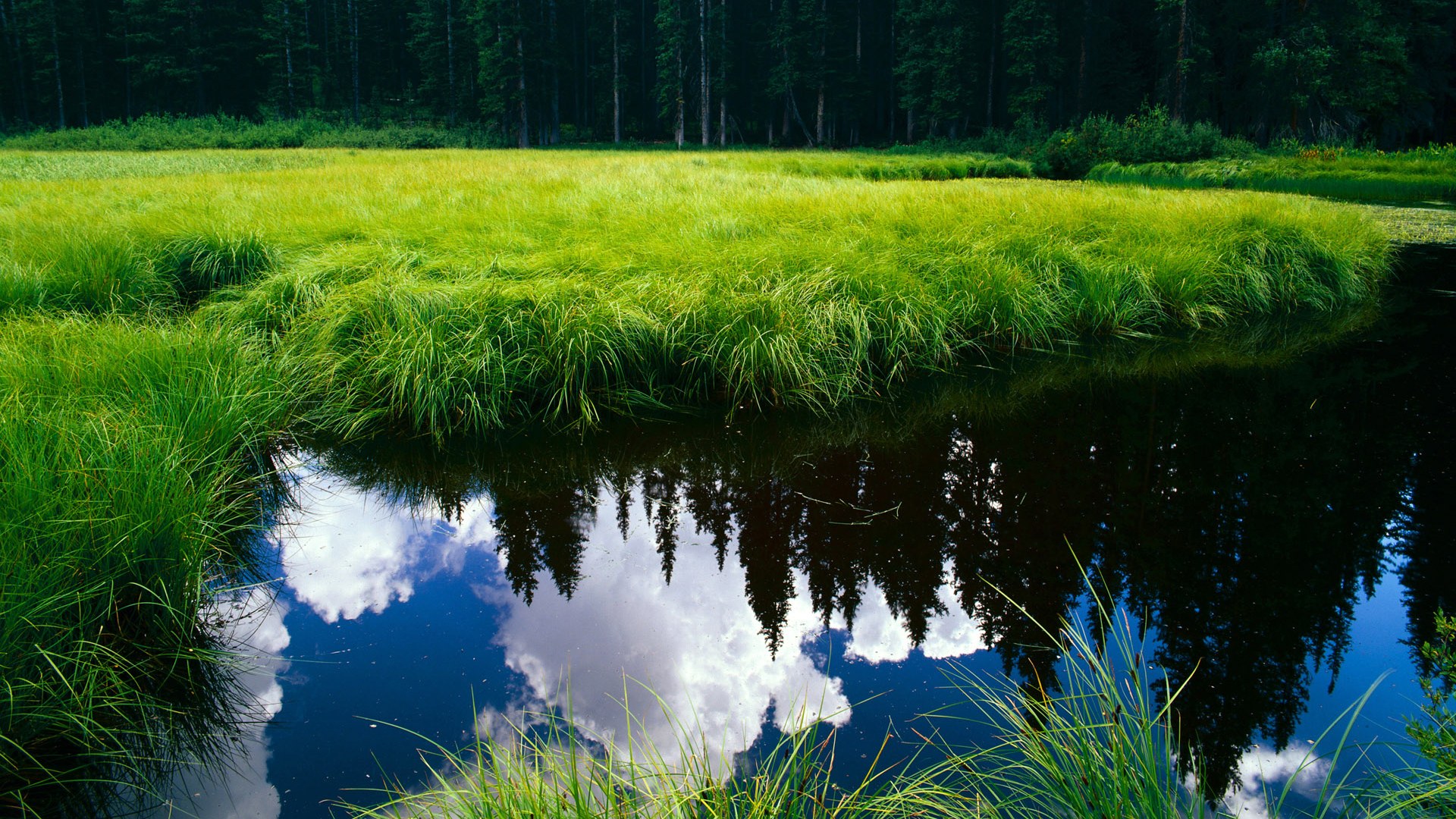 胜负交响，卡拉斯科如何成为西决之夜的唯一指挥家