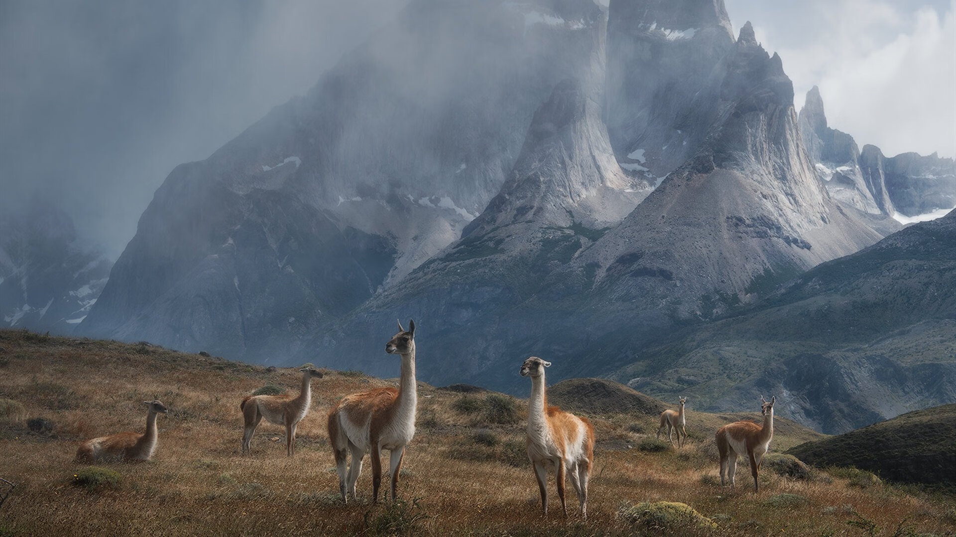 哈登按下单打键,猛龙掀翻步行者的那十六分钟