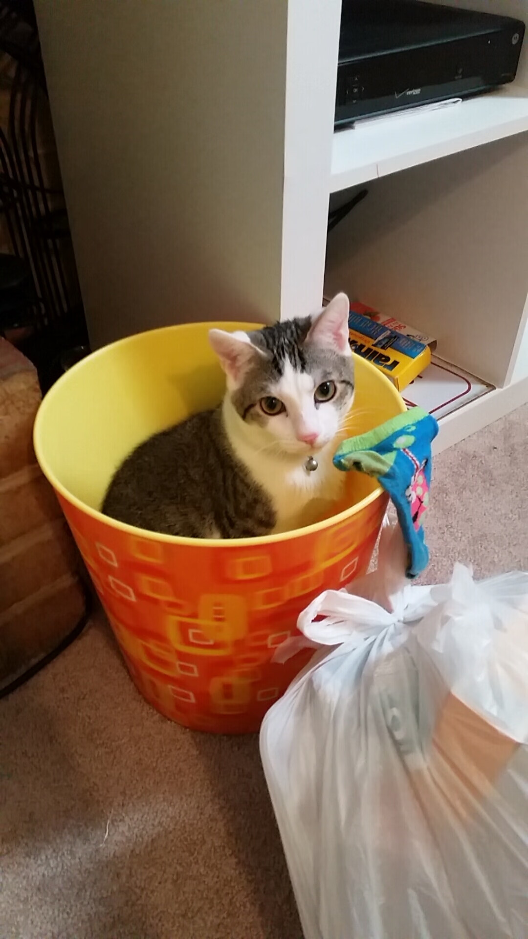 金玟哉国安连线锁死伊朗！巴萨末节致命奇招揭秘