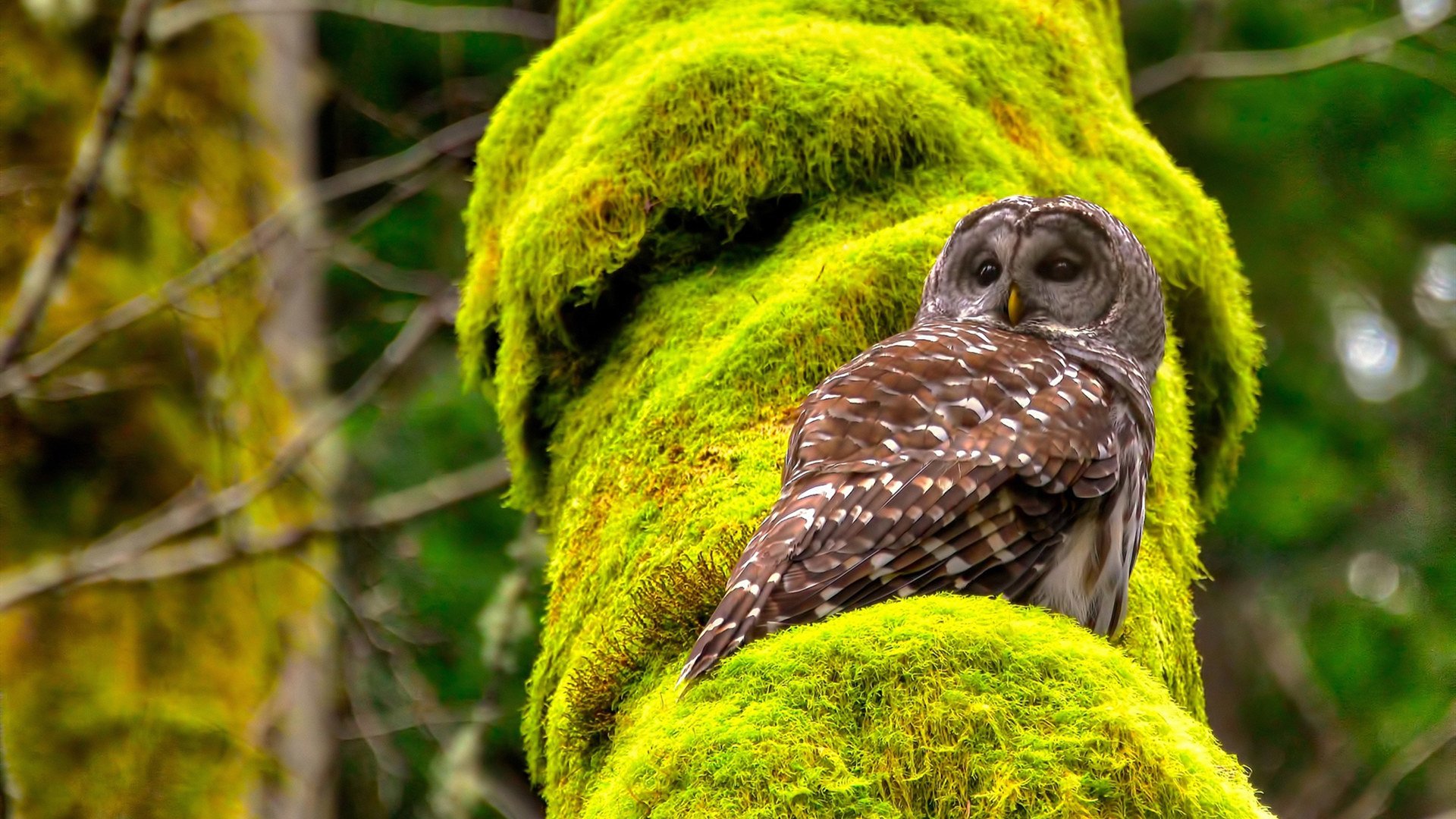 破局者,若日尼奥如何从罪人蜕变为关键先生