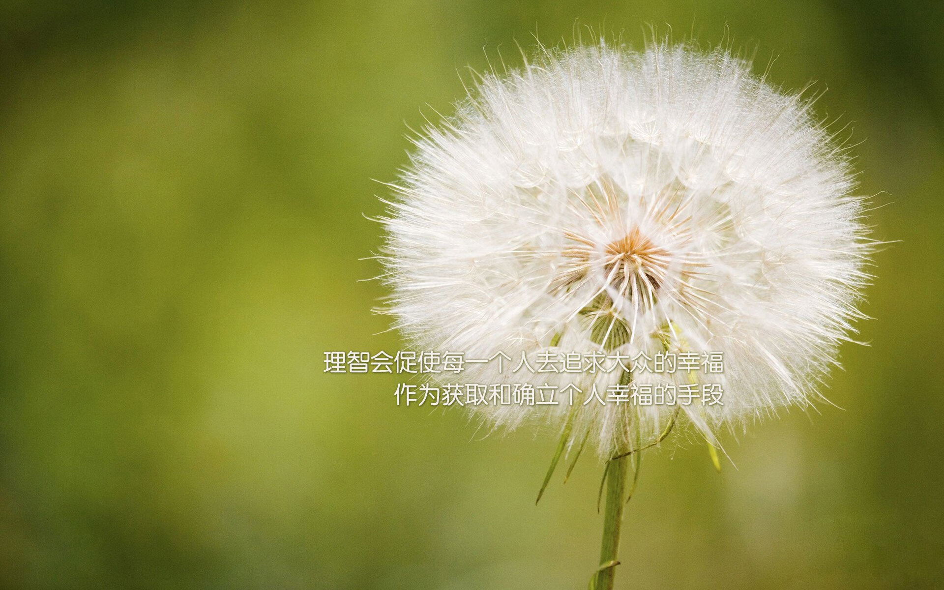 天命独行,2026世界杯,罗德里戈一剑封喉,哥伦比亚绝杀英格兰的永恒瞬间