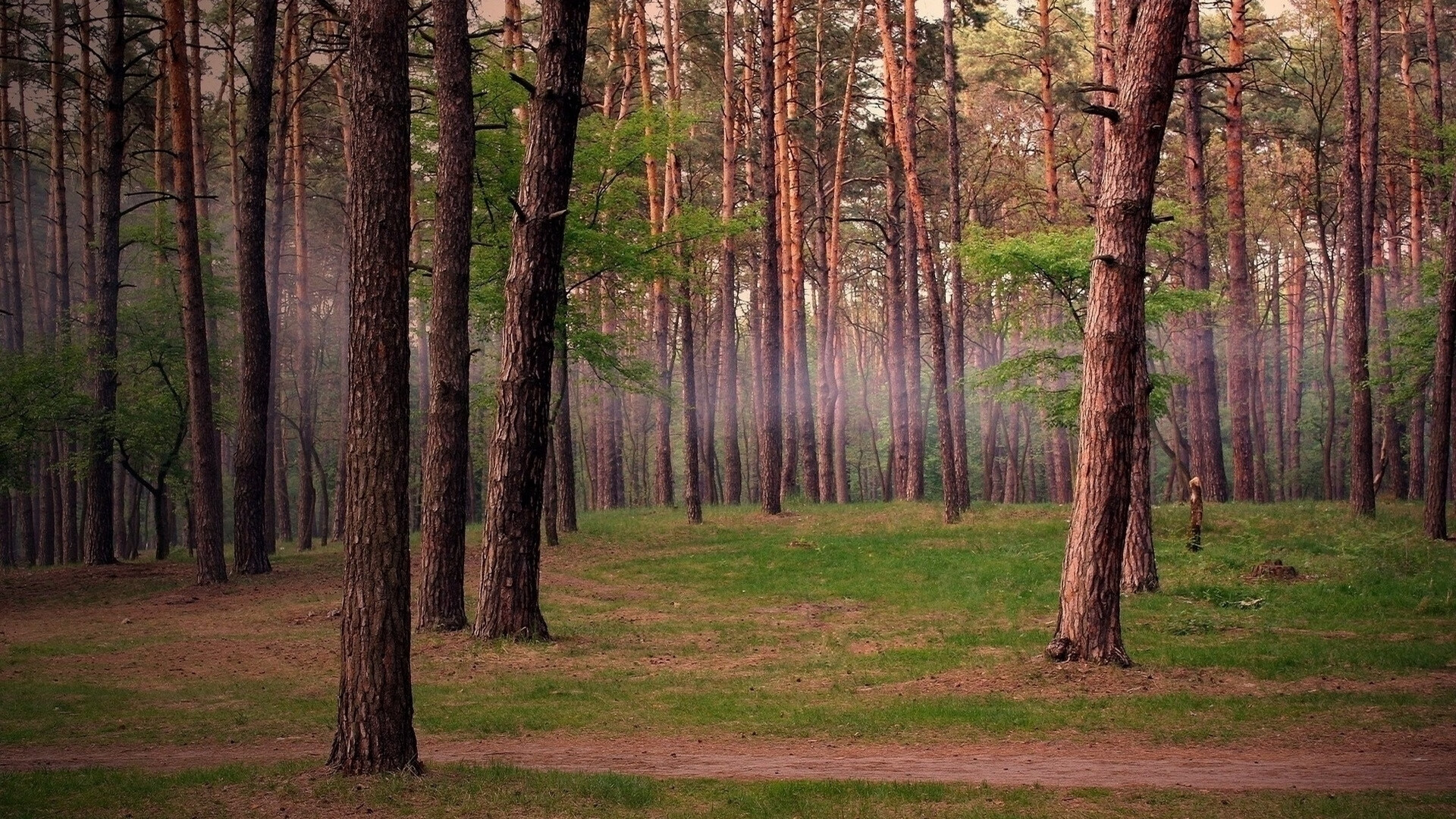 2026世界杯F组，泰国足球的史诗级碾压，与吉鲁的老而弥坚点燃北美盛夏
