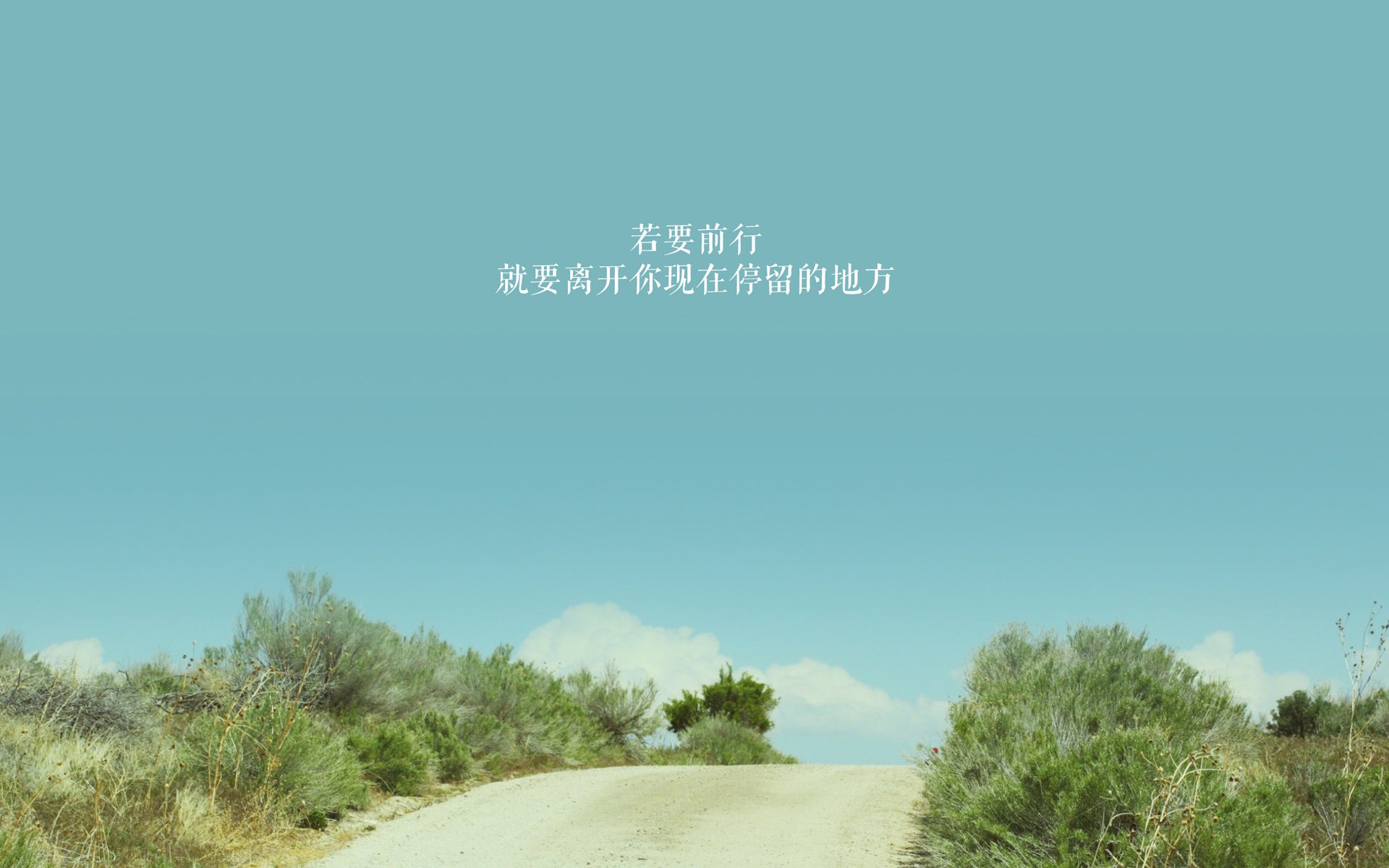 独属于鹿特丹之夜，2026世界杯D组暗战中，萨卡如何撕裂厄瓜多尔防线，为葡萄牙铺就唯一生路