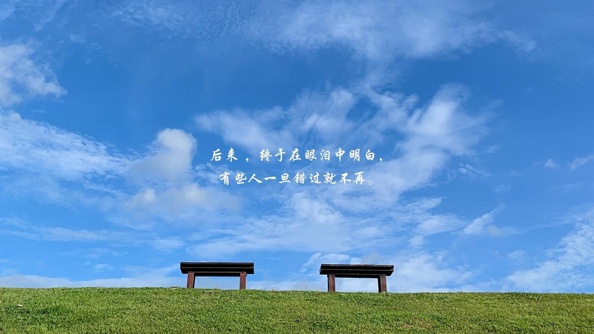 红白战袍下的黑马，阿方索·戴维斯如何用一脚控球，撕裂2026世界杯B组的沉默