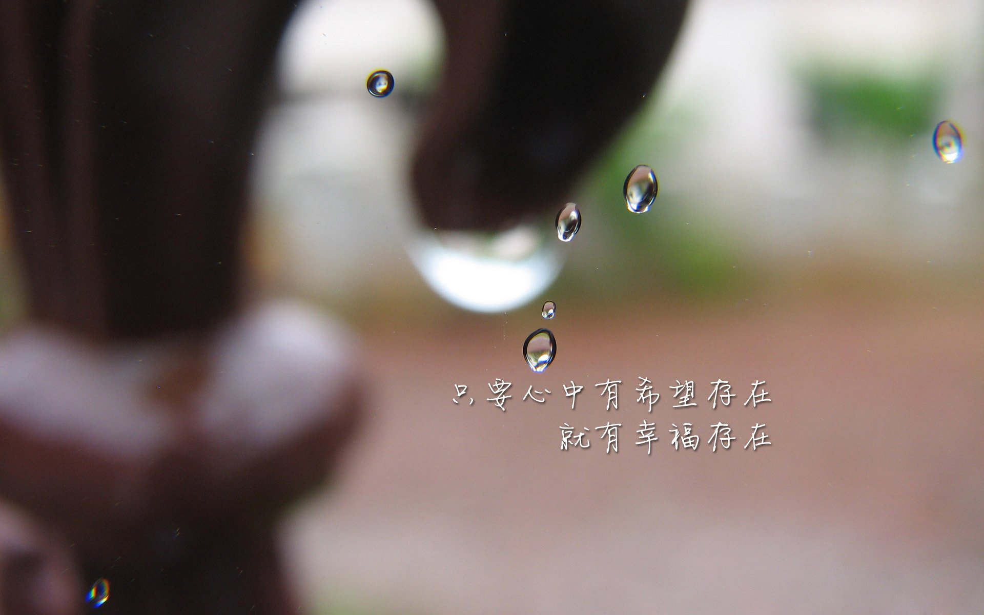 橙色风暴中的一缕光,德容如何定义2026世界杯D组的唯一答案